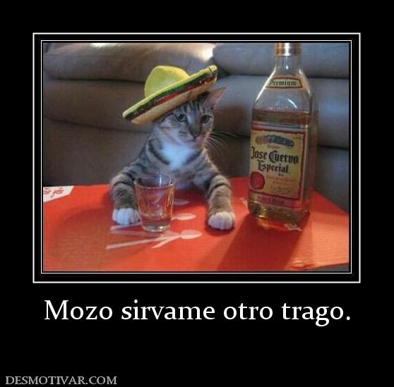 Mozo sirvame otro trago.