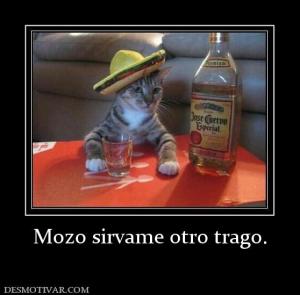 Mozo sirvame otro trago.