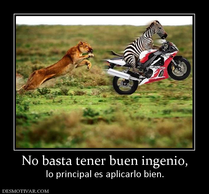 No basta tener buen ingenio, lo principal es aplicarlo bien.