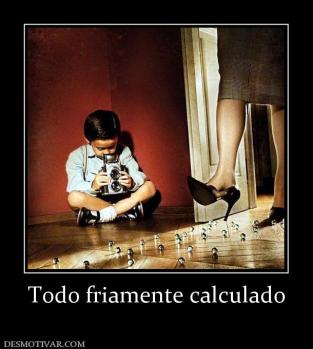 Todo friamente calculado