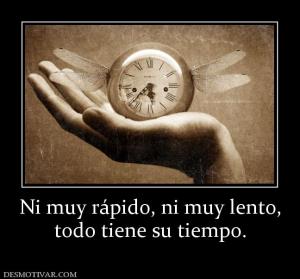 Ni muy rápido, ni muy lento, todo tiene su tiempo.