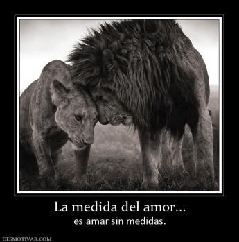 La medida del amor... es amar sin medidas.