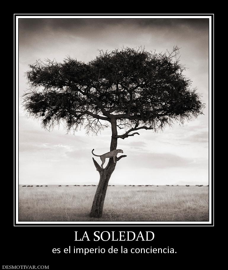 LA SOLEDAD es el imperio de la conciencia.