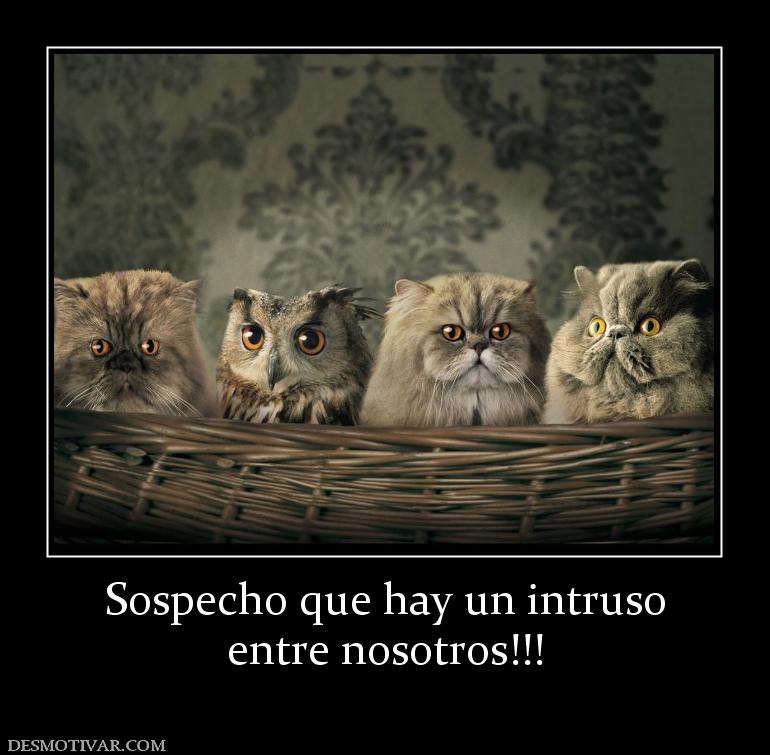 Sospecho que hay un intruso entre nosotros!!!