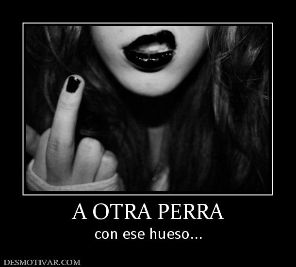 A OTRA PERRA con ese hueso...