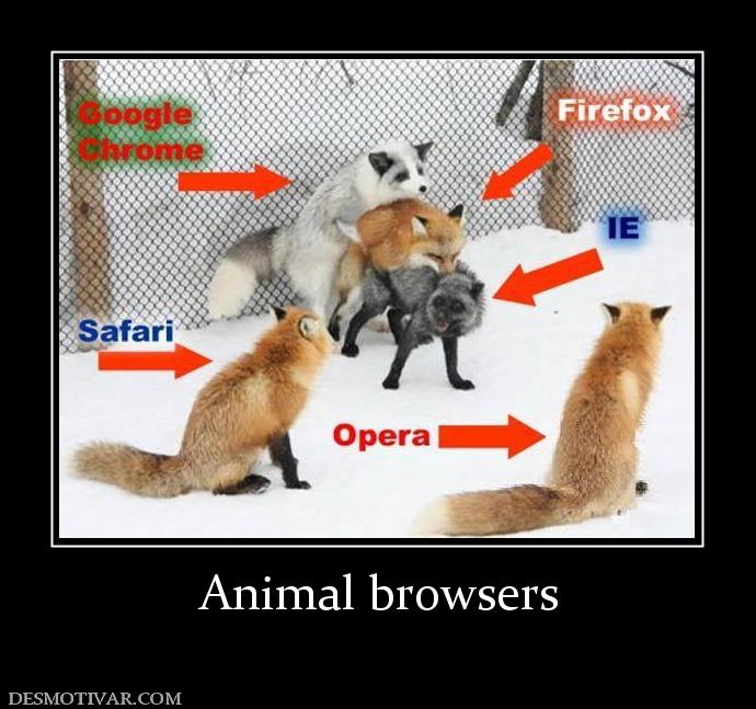 Animal browsers