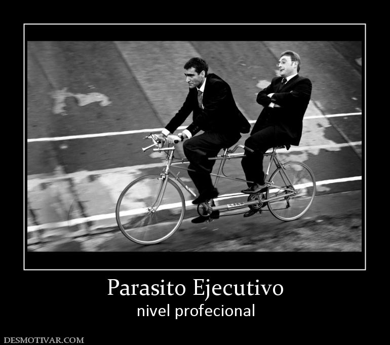 Parasito Ejecutivo nivel profecional