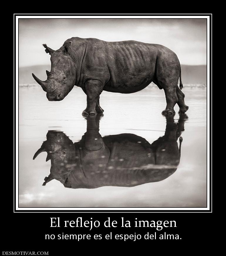 El reflejo de la imagen no siempre es el espejo del alma.