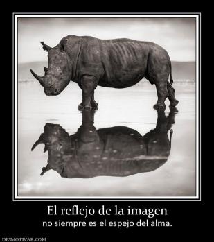 El reflejo de la imagen no siempre es el espejo del alma.