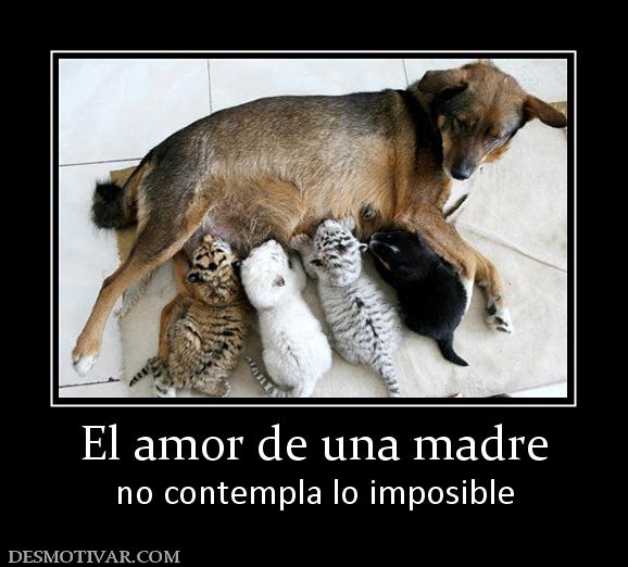 El amor de una madre no contempla lo imposible