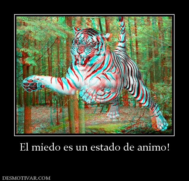 El miedo es un estado de animo!