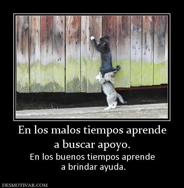 En los malos tiempos aprende a buscar apoyo. En los buenos tiempos aprende  a brindar ayuda.