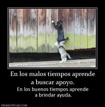 En los malos tiempos aprende a buscar apoyo. En los buenos tiempos aprende  a brindar ayuda.