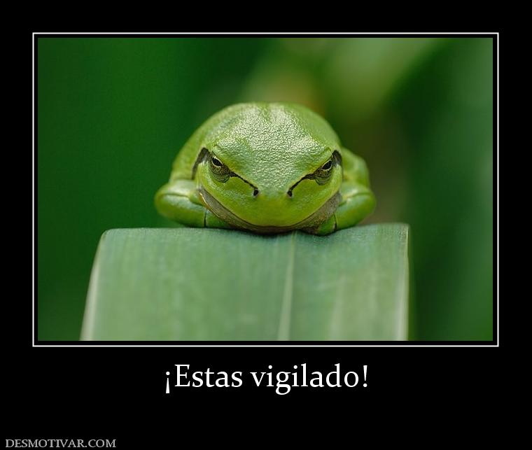 ¡Estas vigilado!
