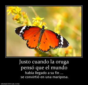Justo cuando la oruga pensó que el mundo  había llegado a su fin ...  se convirtió en una mariposa.