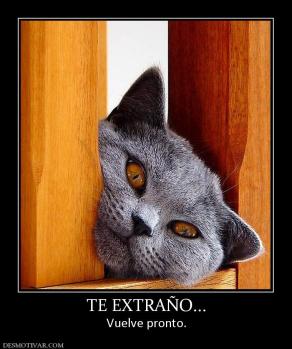TE EXTRAÑO... Vuelve pronto.