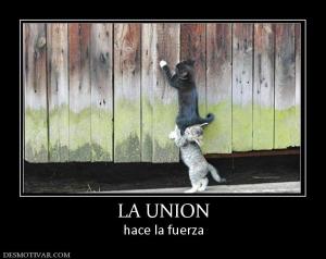 LA UNION hace la fuerza