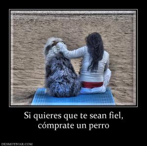 Si quieres que te sean fiel, cómprate un perro