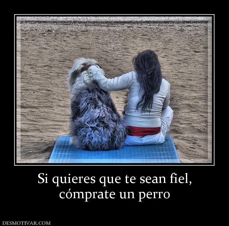 Si quieres que te sean fiel, cómprate un perro