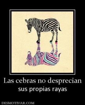 Las cebras no desprecian sus propias rayas