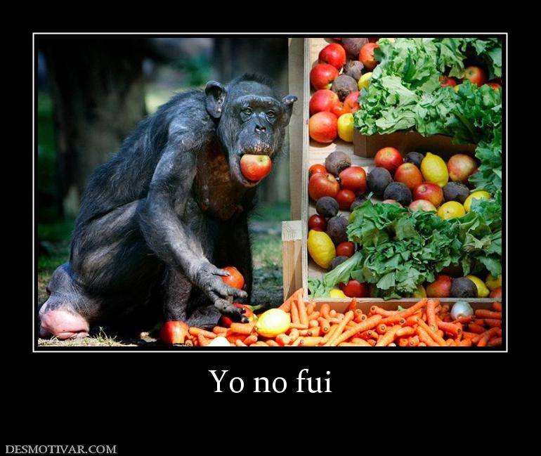 Yo no fui