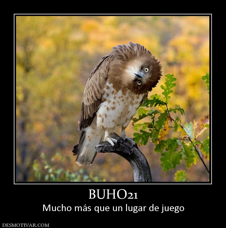 BUHO21 Mucho más que un lugar de juego