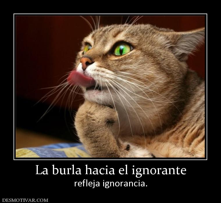 La burla hacia el ignorante refleja ignorancia.