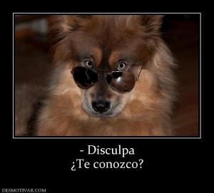 - Disculpa ¿Te conozco?