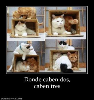 Donde caben dos, caben tres