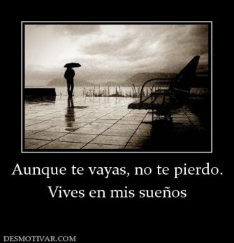Aunque te vayas, no te pierdo. Vives en mis sueños