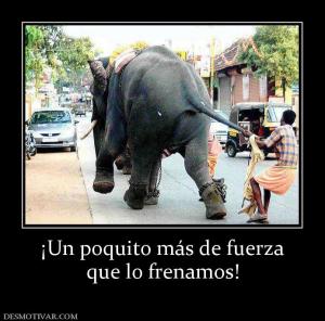 ¡Un poquito más de fuerza que lo frenamos!