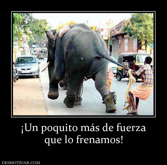 ¡Un poquito más de fuerza que lo frenamos!