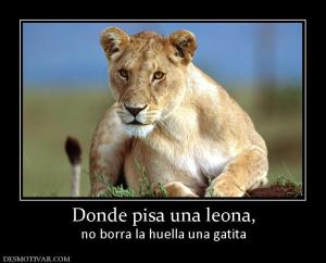Donde pisa una leona, no borra la huella una gatita