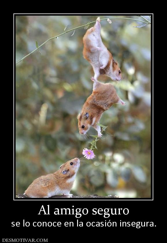 Al amigo seguro se lo conoce en la ocasión insegura.