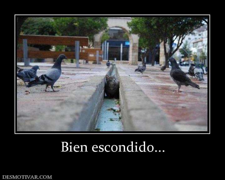 Bien escondido...
