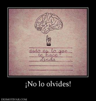 ¡No lo olvides!