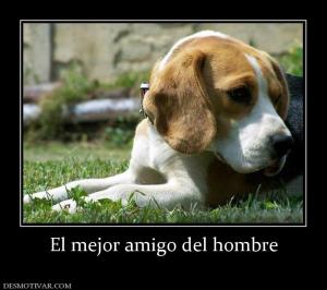 El mejor amigo del hombre