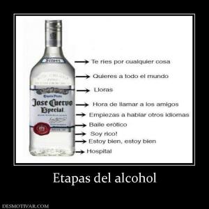 Etapas del alcohol