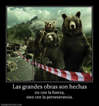 Las grandes obras son hechas no con la fuerza, sino con la perseverancia.