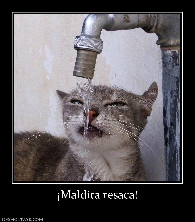 ¡Maldita resaca!