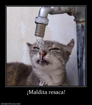 ¡Maldita resaca!