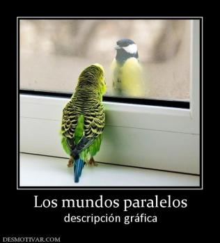 Los mundos paralelos descripción gráfica