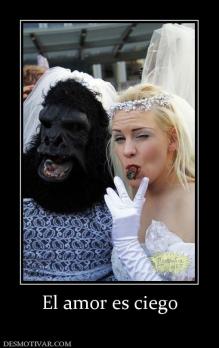 El amor es ciego