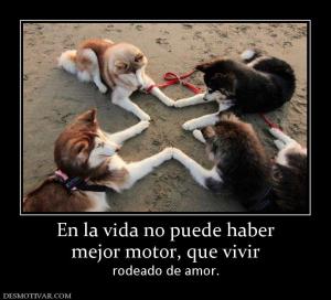 En la vida no puede haber mejor motor, que vivir rodeado de amor.