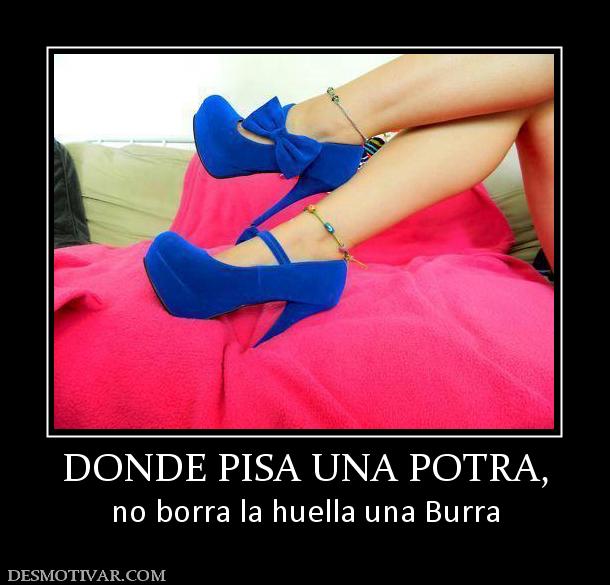 DONDE PISA UNA POTRA, no borra la huella una Burra