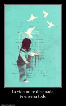 La vida no te dice nada, te enseña todo