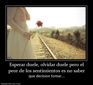 Esperar duele, olvidar duele pero el peor de los sentimientos es no saber  que decision tomar...
