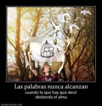 Las palabras nunca alcanzan cuando lo que hay que decir desborda el alma