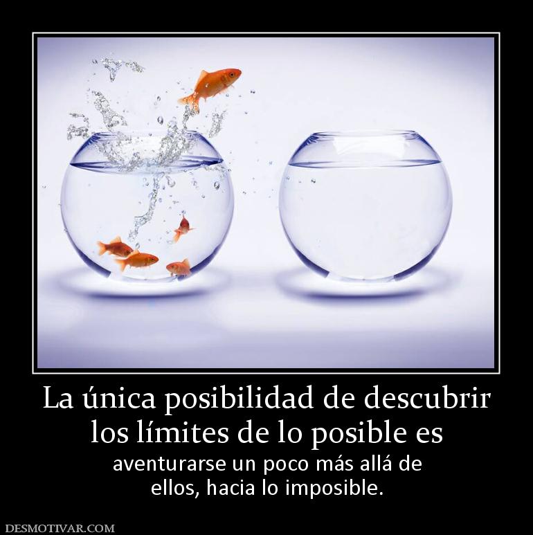 La única posibilidad de descubrir los límites de lo posible es aventurarse un poco más allá de ellos, hacia lo imposible.