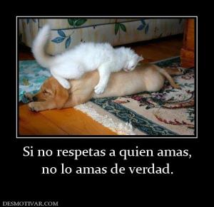 Si no respetas a quien amas, no lo amas de verdad.
